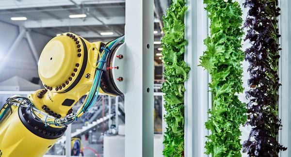 大量的垂直农场