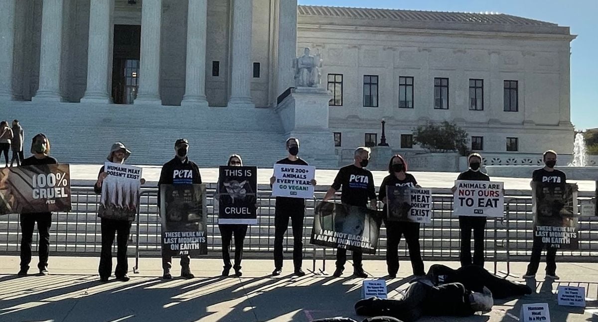 SCOTUS protests from PETA