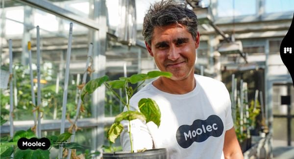 Moolec Science co-founder and CEO Gaston Paladini and some of the company's bioengineered plants.