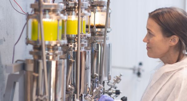 一名科学家站在Brevel的微藻成分培养设备的右侧，该设备由金属罐和装有黄色物质的玻璃室组成。