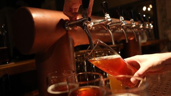 craft beer IPA