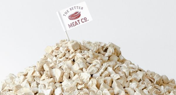 一堆Better Meat公司的菌丝体Rhiza蛋白，它是白色块状固体，上面有公司的牙签标志。