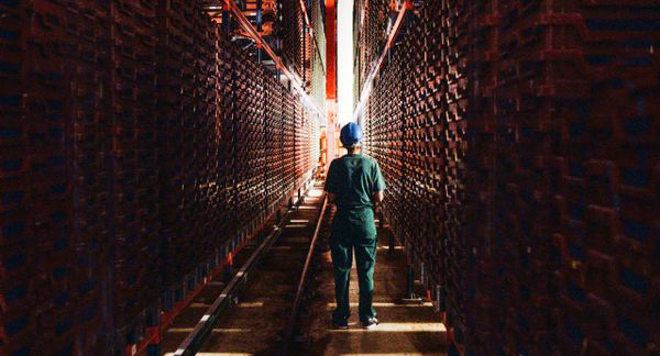 一名在Ynsect昆虫农场工作的工人。