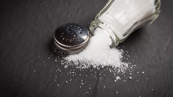 Salt shaker on slate board