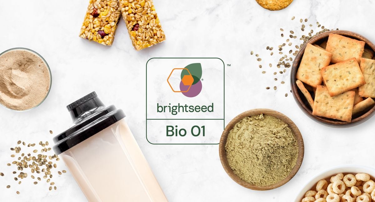 Brightseed，人工智能