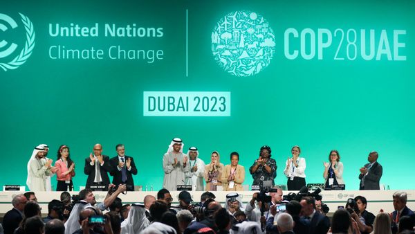 代表们在气候公约COP28气候会议主席Sultan Ahmed AlJaber演讲后欢呼