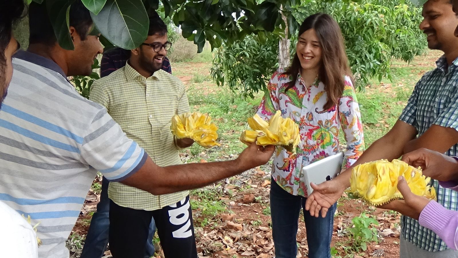 三人一组，手里拿着大块的黄色切开的菠萝蜜，其中一人将菠萝蜜拿给jack&annie的首席执行官Annie Ryu看。