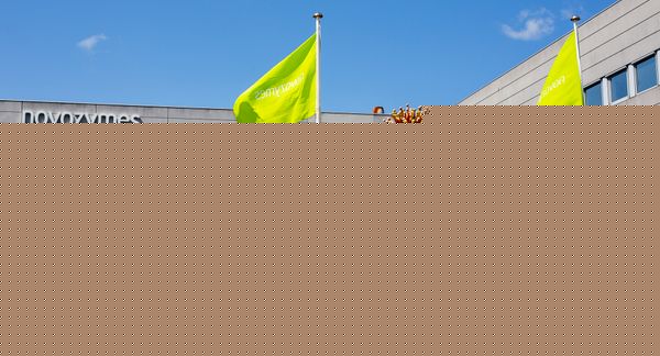 鲜亮的绿色旗帜飘扬在诺维信l型办公楼前，办公楼正前方是一面镜面墙，右边是白色砖砌的小窗户。人们走在有盖的小路上。