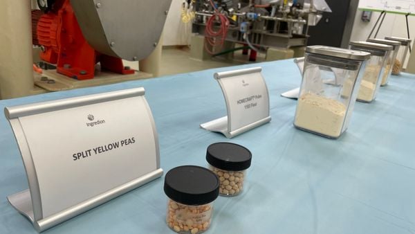 配料，豌豆蛋白