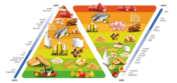苏打灰食物金字塔