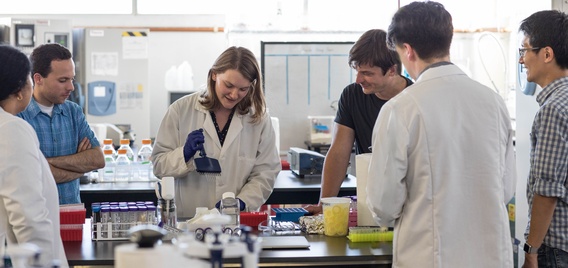 汉普顿溪洁净肉