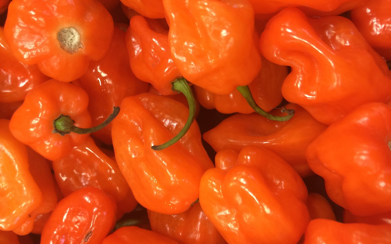 Habanero Peppers.
