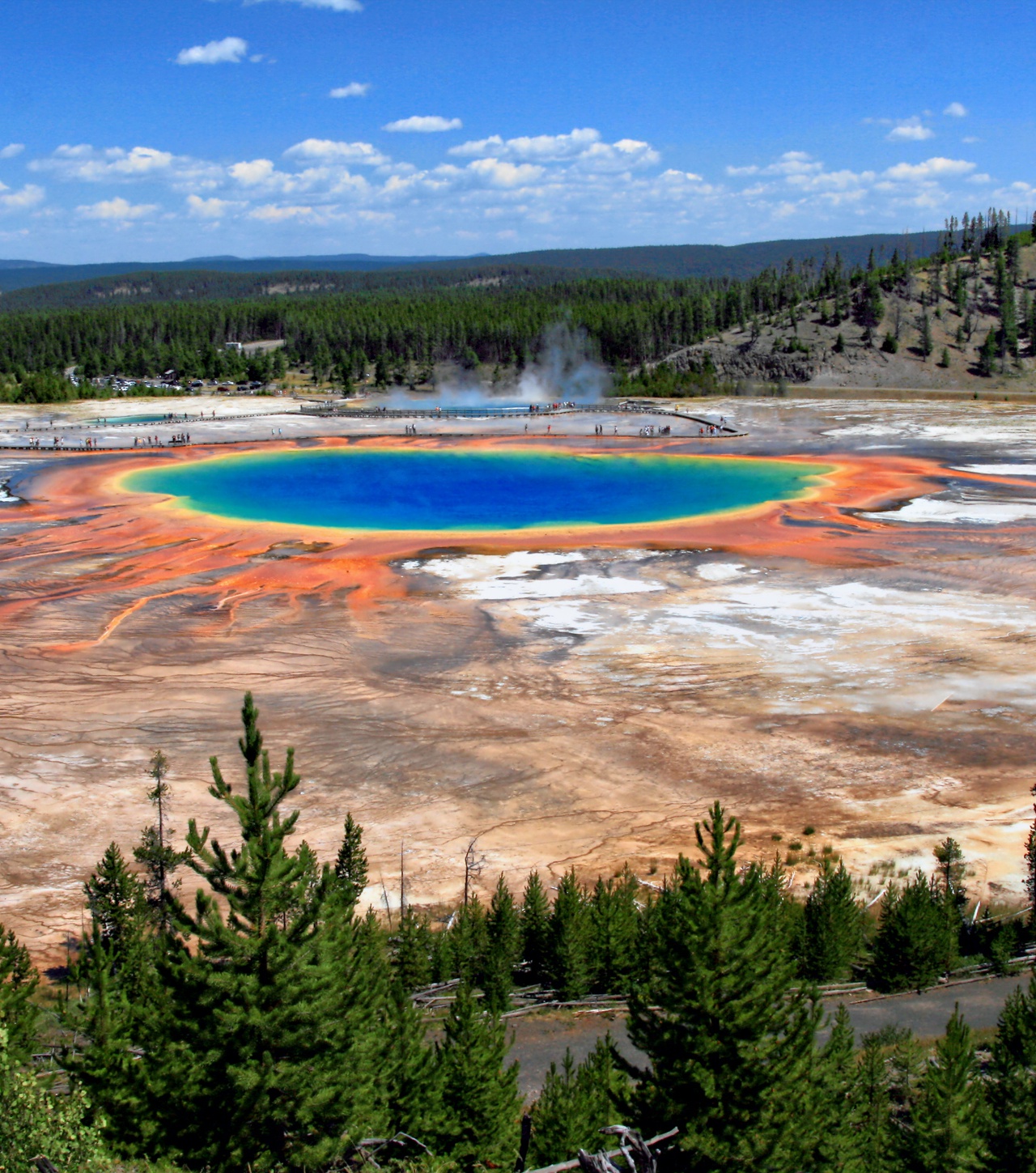 棱春，黄石国家公园