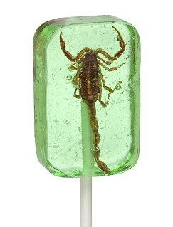 scorpion lollipop bug snack