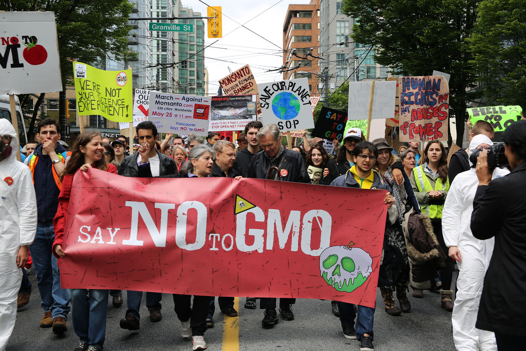 GMO抗议